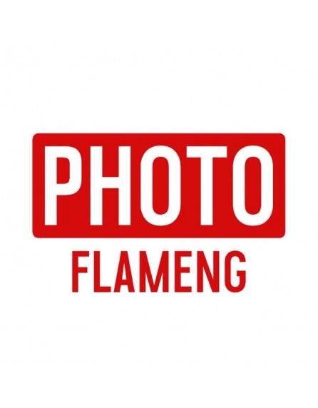 Photo Flameng